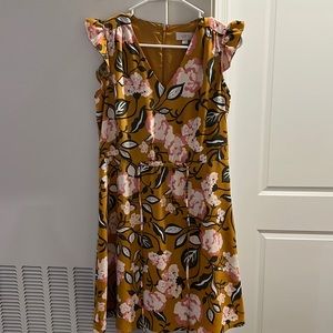 Floral mini dress loft
